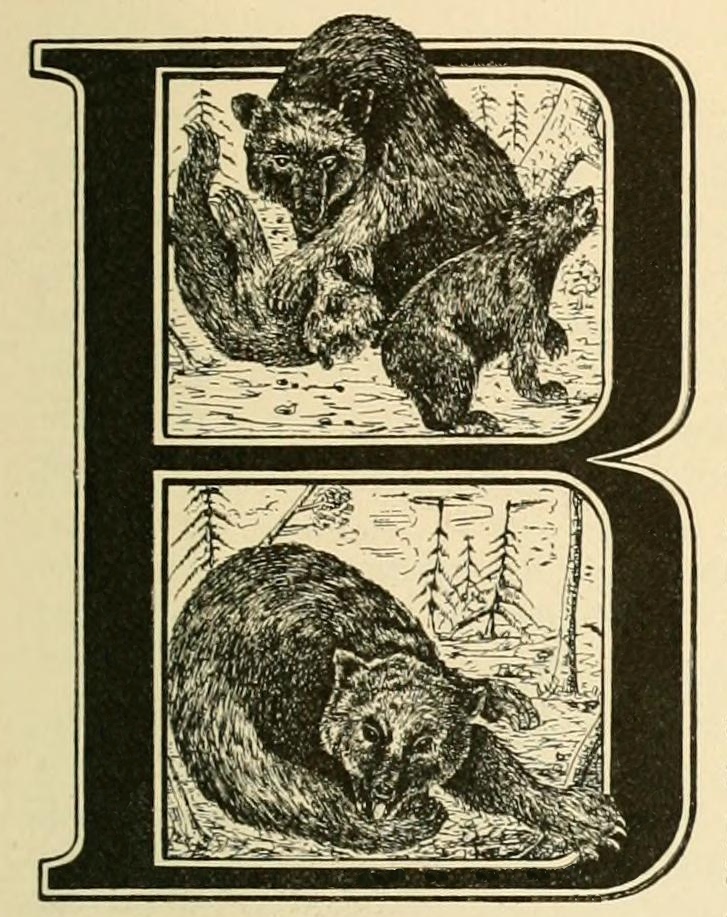 B is for Bear, fancy letter B dropcap image
