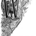 wild W monkey fancy letter image