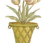 pot of tulips