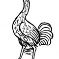 crane woodcut