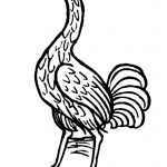 crane woodcut