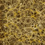 golden marbled background