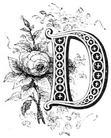 letter d image with rose