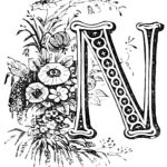 letter N with flowers