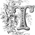 Letter T with Bird from ReusableArt.com