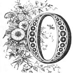 fancy letter O with flowers