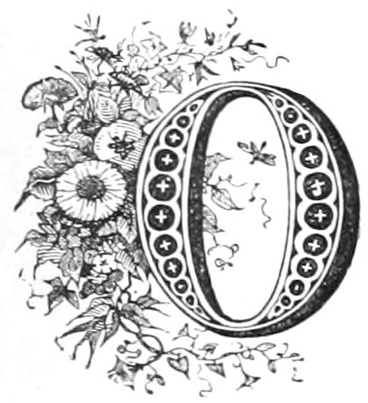 fancy letter O with flowers
