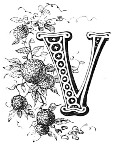 letter v with puffs
