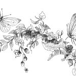 Pair of butterflies, a black and white engraving from 1867.